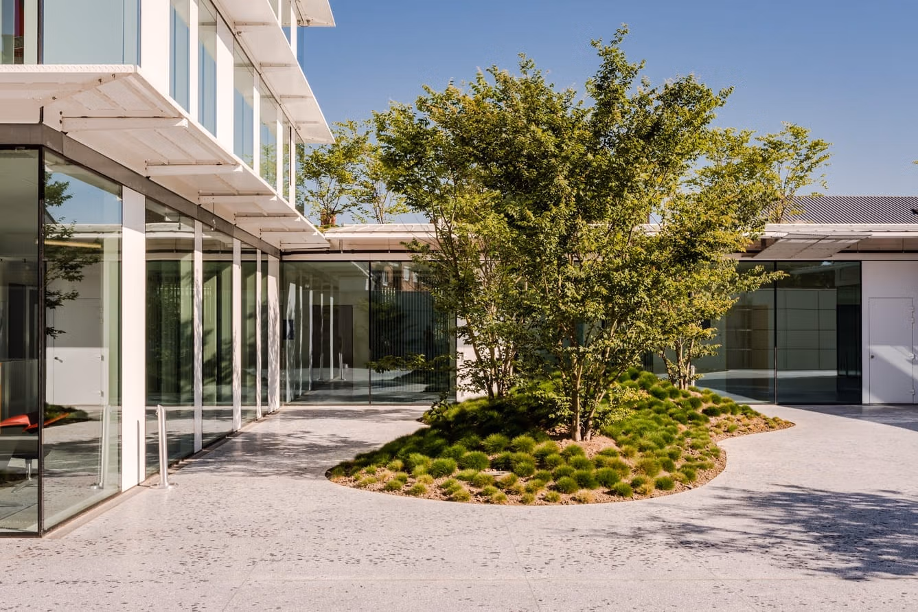 Patio et jardin intérieur ensoleillé de BluePoint